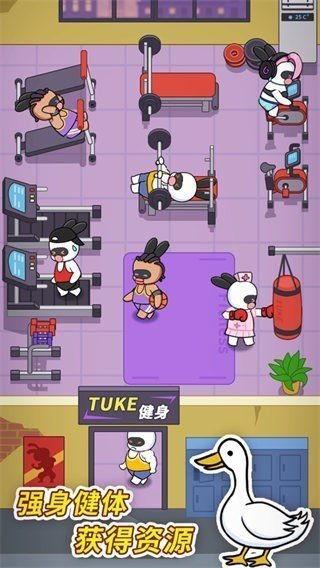 兔克创业记今日吃瓜,今日吃瓜，揭秘创业路上的酸甜苦辣