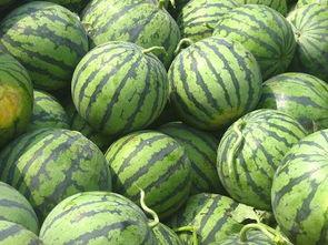 开封吊瓜价格今日行情,价格波动解析