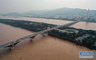 橘子洲哪些明星网红来过,明星网红打卡胜地，星光熠熠的足迹
