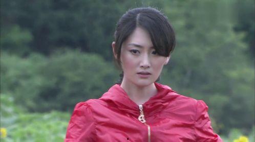 明星网红第二职业,明星网红的多元第二职业探索之旅