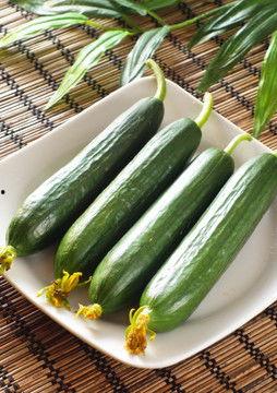 今日荷兰瓜的批发价,品质与价格的完美结合