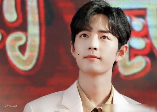 明星网红唱歌同框图片,网红明星同框献唱，音乐盛宴精彩瞬间