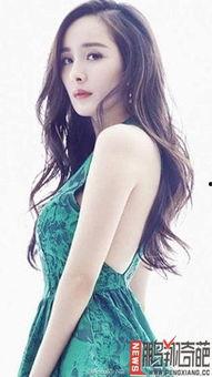 明星网红代言品牌名字,品牌新声代代言风采大揭秘