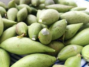 稍瓜今日价格,市场行情一览”