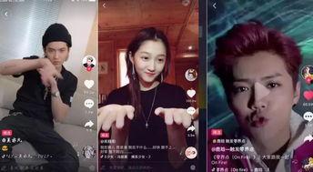 探访明星网红视频在线观看,带你走进他们的日常生活