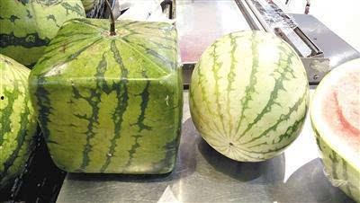 重庆今日瓜价,时令鲜甜，价格波动一览无余