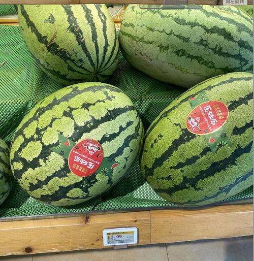 重庆今日瓜价,时令鲜甜，价格波动一览无余