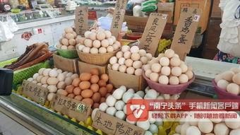 南宁今日白瓜价格多少钱一斤,行情动态一览