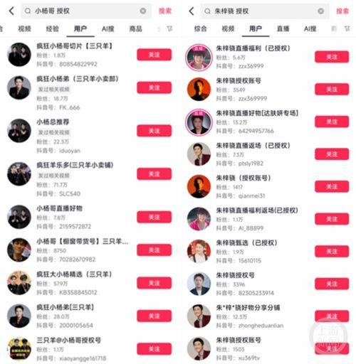 明星网红切片账号是什么,揭秘幕后运营与粉丝互动策略