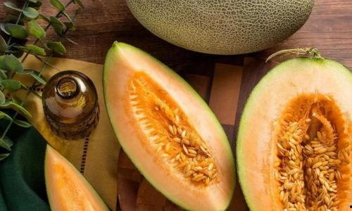 乌鲁木齐哈密瓜今日价,价格行情一览”