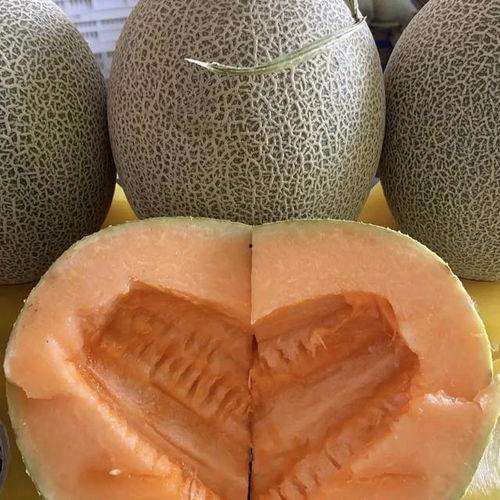 乌鲁木齐哈密瓜今日价,价格行情一览”