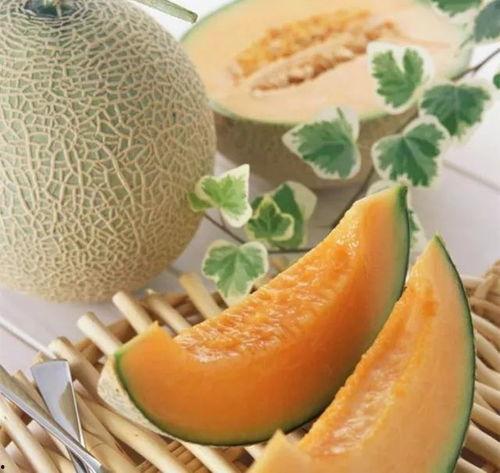 今日特价哈密瓜文案,甜蜜哈密瓜，尽享夏日清新滋味”