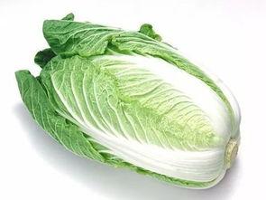 茭瓜今日市场价江苏,价格波动及影响因素分析”