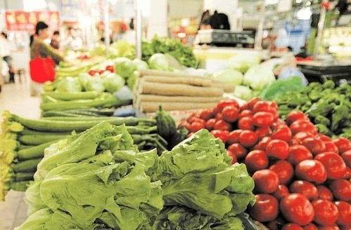 茭瓜今日市场价江苏,价格波动及影响因素分析”