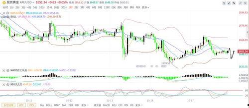 今日云南秋瓜行情走势,丰收季里的价格波动与市场动态