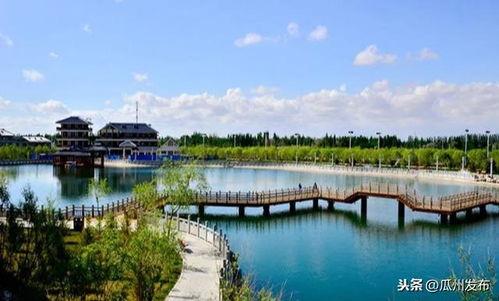 酒泉瓜州今日价格,新鲜采摘直供市场