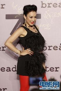 明星网红钟丽缇是谁图片,魅力四射的明星网红风采展现