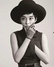 明星网红莫兰迪图片,探寻明星网红的独特风格