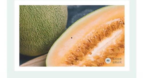 海南哈小蜜瓜今日行情,甜蜜价格波动，市场供需动态解析