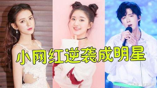 出现小明星网红的原因,小明星网红崛起背后的原因解析