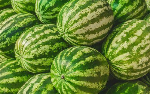 今日吃瓜热门大瓜在线吃瓜,在线吃瓜，揭秘娱乐圈最新动态