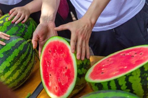 今日吃瓜心得,揭秘娱乐圈幕后真相，带你领略明星们的真实生活
