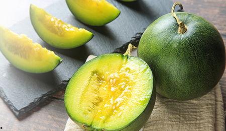 高官寨哈密瓜今日价格,价格行情一览”