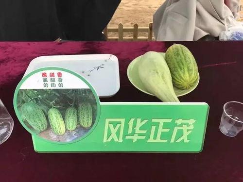 高官寨哈密瓜今日价格,价格行情一览”