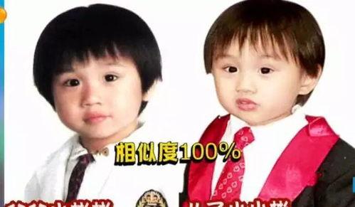 明星网红的爸妈都有谁,揭秘他们的爸妈身份