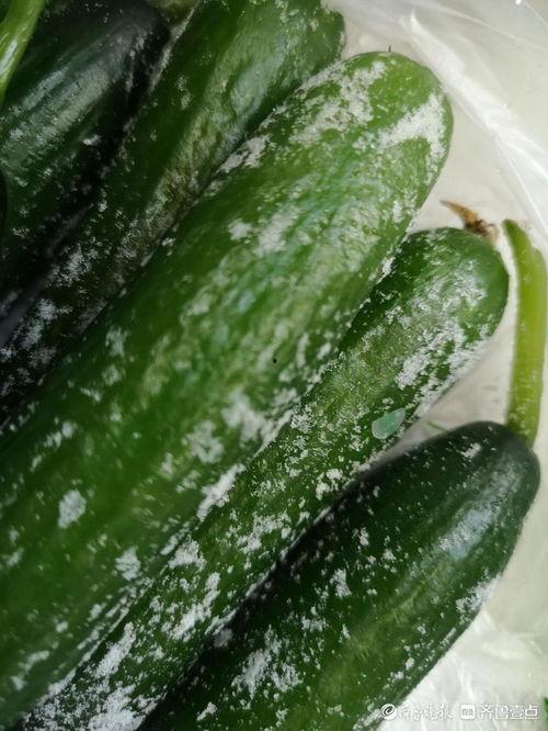 滑县瓜今日行情,丰收喜悦与价格波动并存