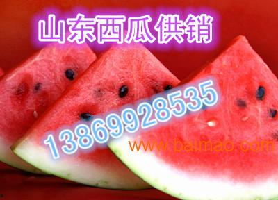 滑县瓜今日行情,丰收喜悦与价格波动并存