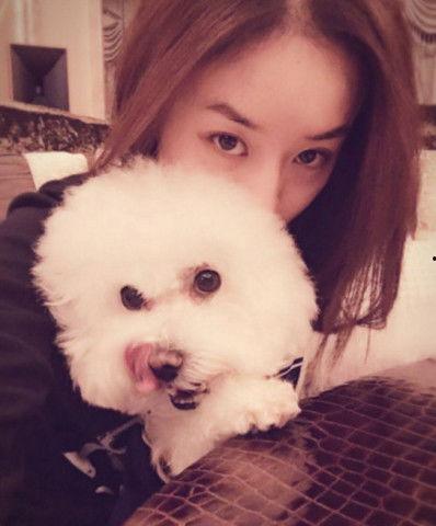 明星网红宠物叫什么来着,网红宠物们的独特昵称大盘点