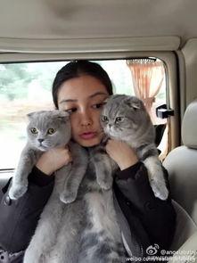 明星网红宠物叫什么来着,网红宠物们的独特昵称大盘点