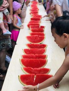 今日吃瓜小能手是谁的作品,揭秘今日吃瓜小能手背后的创作秘籍