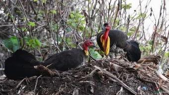 今日吃瓜小能手是谁的作品,揭秘今日吃瓜小能手背后的创作秘籍