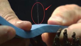 今日吃瓜小能手是谁的作品,揭秘今日吃瓜小能手背后的创作秘籍