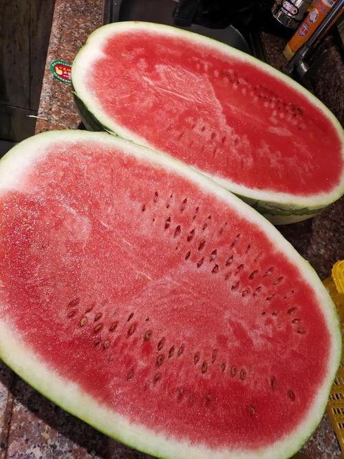 干瓜今日价格最新行情,干瓜今日价格行情一览