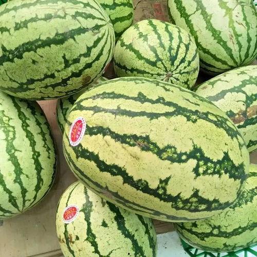 干瓜今日价格最新行情,干瓜今日价格行情一览