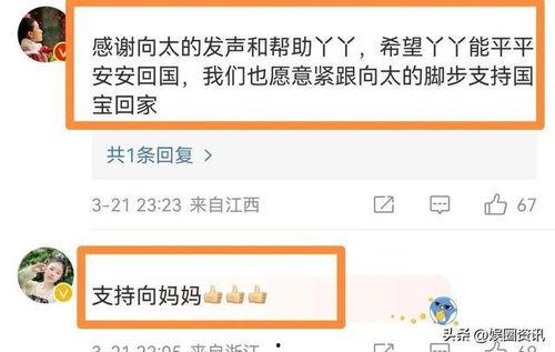 没有明星网红为丫丫发声,无声的呐喊，谁在倾听？