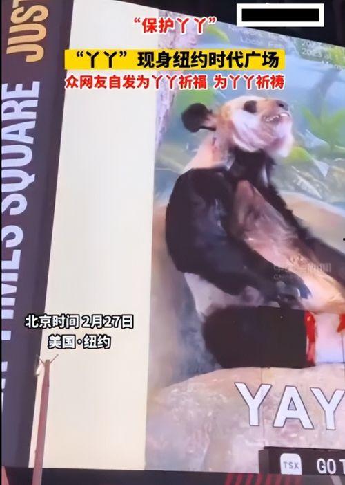 没有明星网红为丫丫发声,无声的呐喊，谁在倾听？