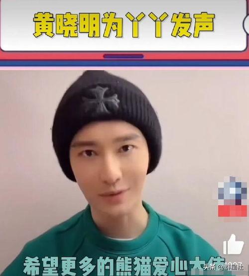 没有明星网红为丫丫发声,无声的呐喊，谁在倾听？