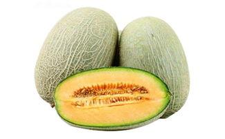 今日分享哈密瓜的微博,哈密瓜美味来袭，甜蜜滋味尽在掌握！