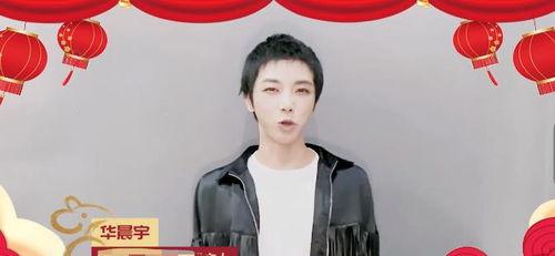 明星网红退出直播了吗视频,退出潮背后的原因与影响