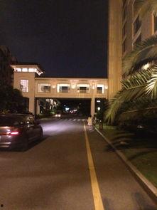 厦门明星网红住的酒店,明星同款住宿体验揭秘