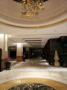 厦门明星网红住的酒店,明星同款住宿体验揭秘