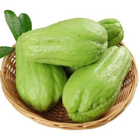 文山洋瓜今日价格,市场行情一览”