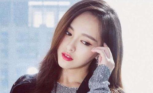 七台河明星网红,明星网红闪耀冰城