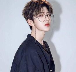 陈晓明星网红是谁呀图片