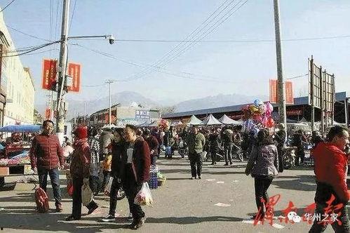 华州瓜坡镇今日新闻,聚焦今日热点，共话发展新篇章