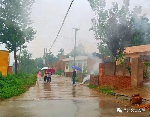 华州瓜坡镇今日新闻,聚焦今日热点，共话发展新篇章